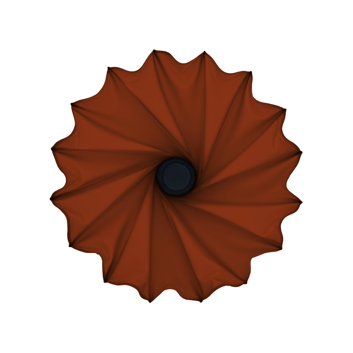 Solpuck – Rost
